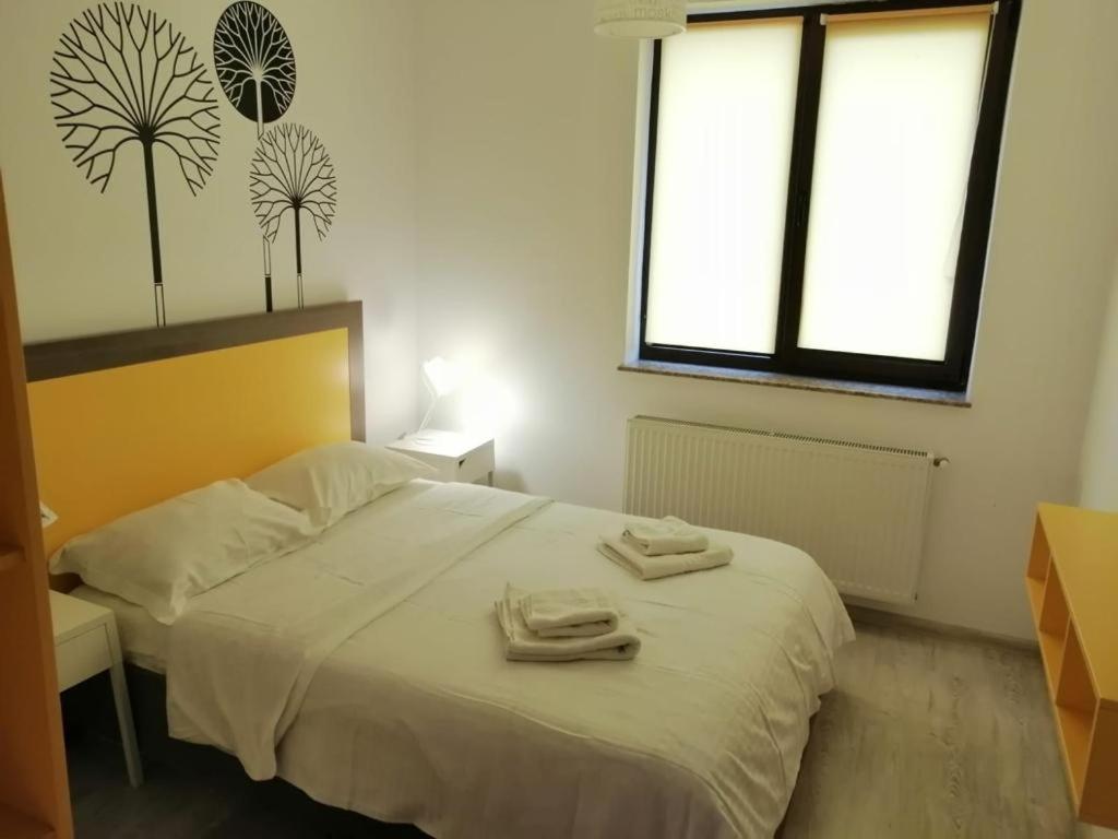 Cozy Accommodation Central City - Iasi Exterior foto