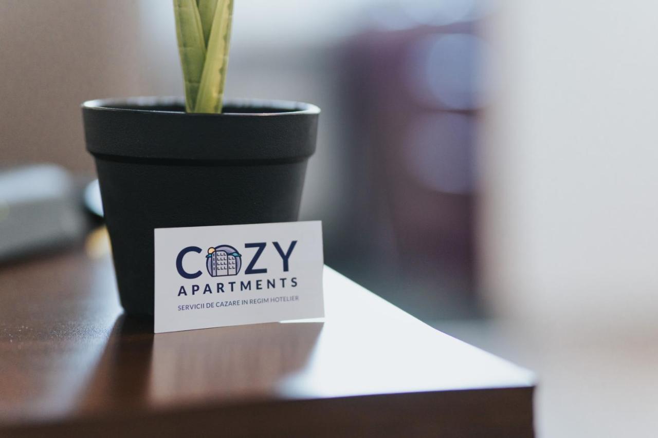 Cozy Accommodation Central City - Iasi Exterior foto